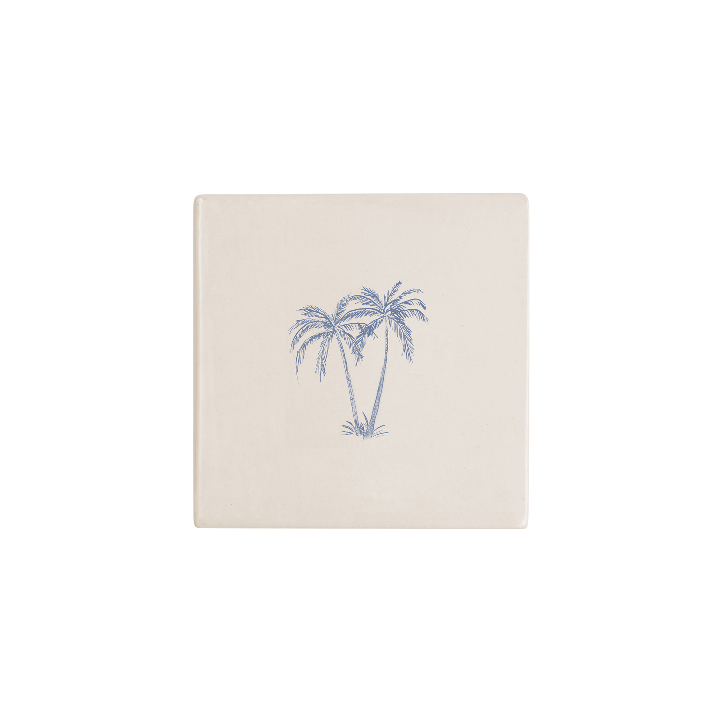 Palm Tree