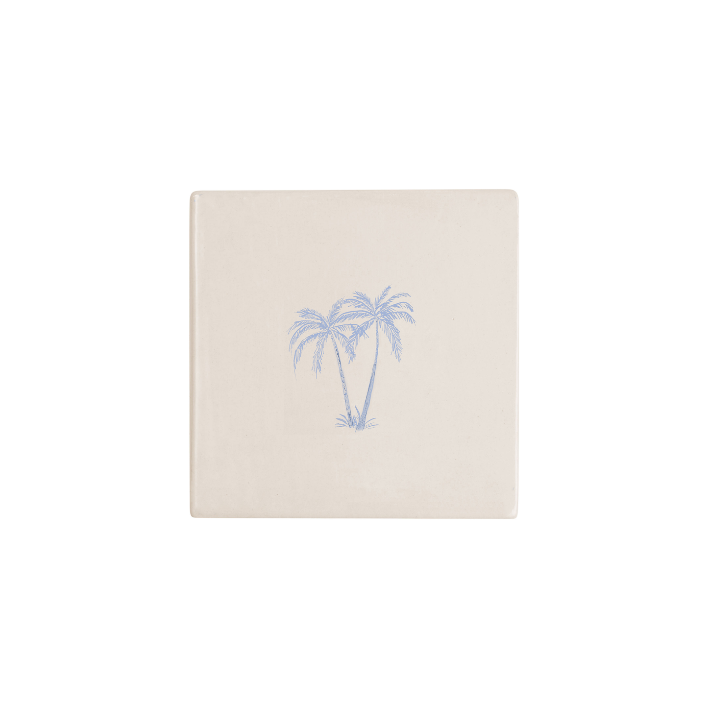 Palm Tree